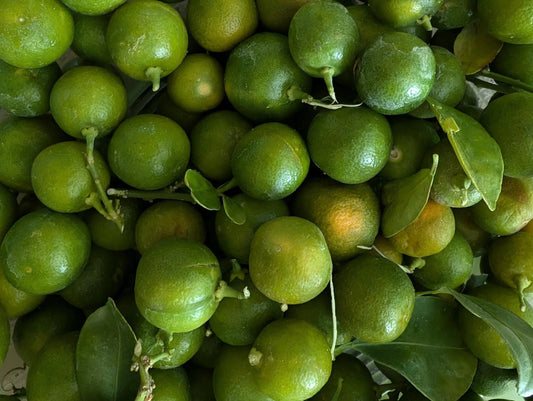 kumquat fruit 1