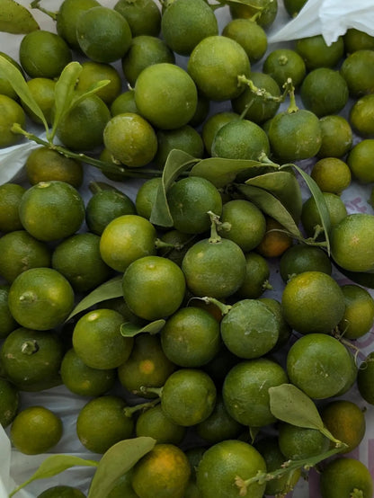 kumquat fruit 2